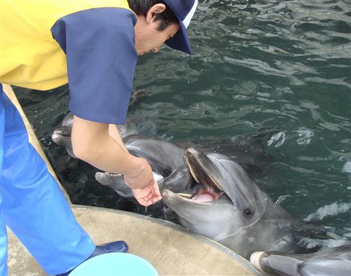 Ojj þetta heilsufæði.