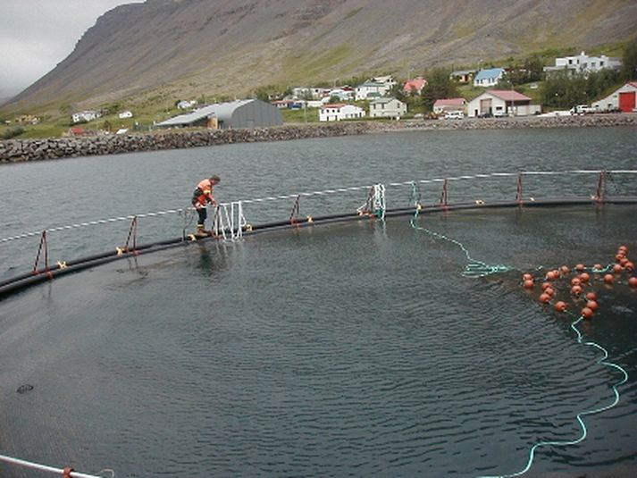 Arnarfjörður