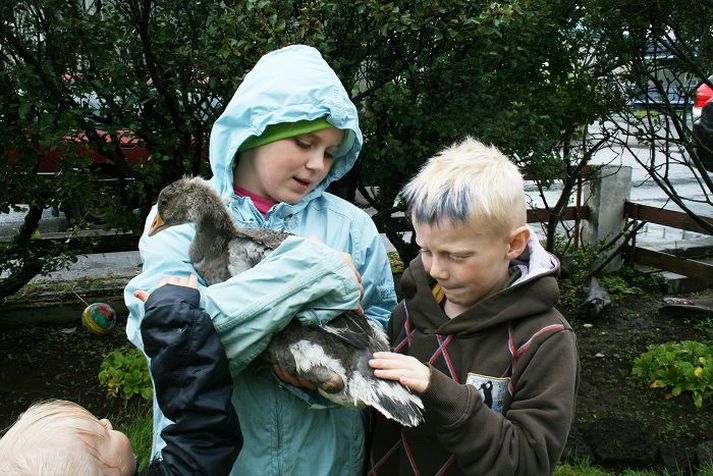 Særún Birta (10 ára), Birgir Logi (7 ára) og Jóhanna María (3 ára) Birgisbörn hafa hlúð vel að Bíbí. Gísladóttir