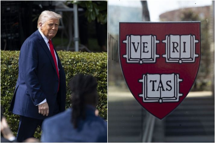 Donald Trump hefur sett Harvard háskólanum skilyrði.