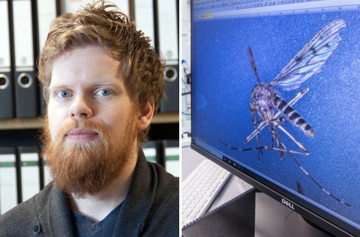 Matthías Alfreðsson segir Náttúrufræðistofnun fylgjast vel með stöðunni. 