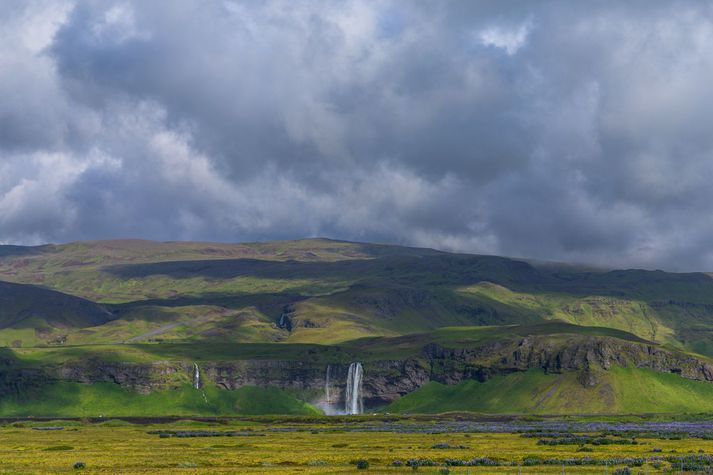 Tjaldstæðið við Hamragarða rétt hjá Seljalandsfossi hefur um árabil verið eitt vinsælasta tjaldstæði landsins. Sögu þess er lokið. 