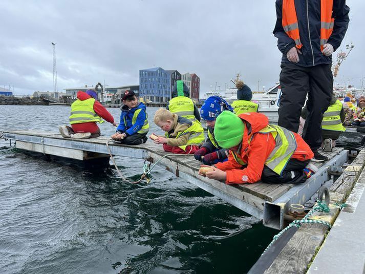 Keppnin er haldin árlega. Þessi mynd er af efnilegum veiðimönnum á bryggjunni í fyrra.