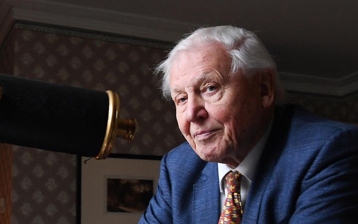 Attenborough, sem er 93 ára gamall, er dáður um allan heim fyrir fjölda náttúrulífsþátta sem hann hefur kynnt um áratugaskeið.