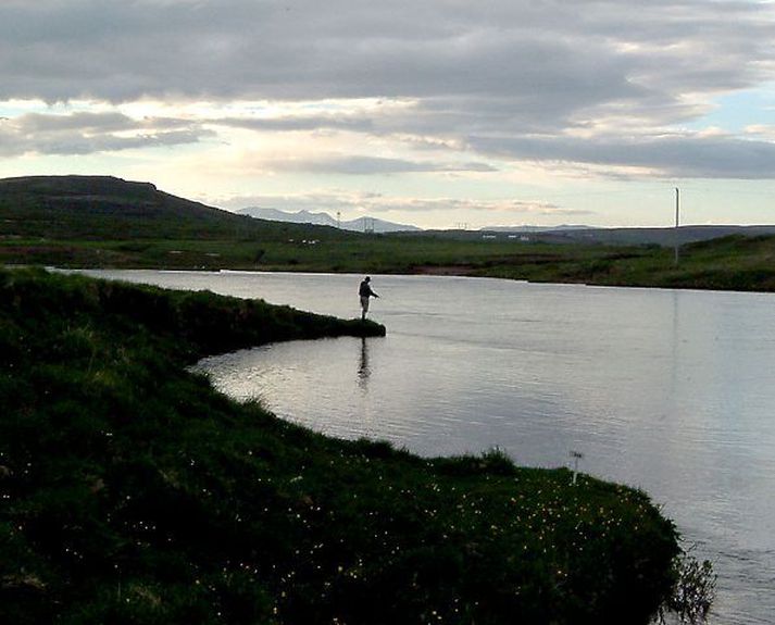 Veiði í Soginu hefur gengið vel.