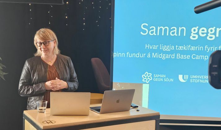 Sigrún Ágústsdóttir, forstjóri Umhverfisstofnunar á fundinum á Hvolsvelli í vikunni.