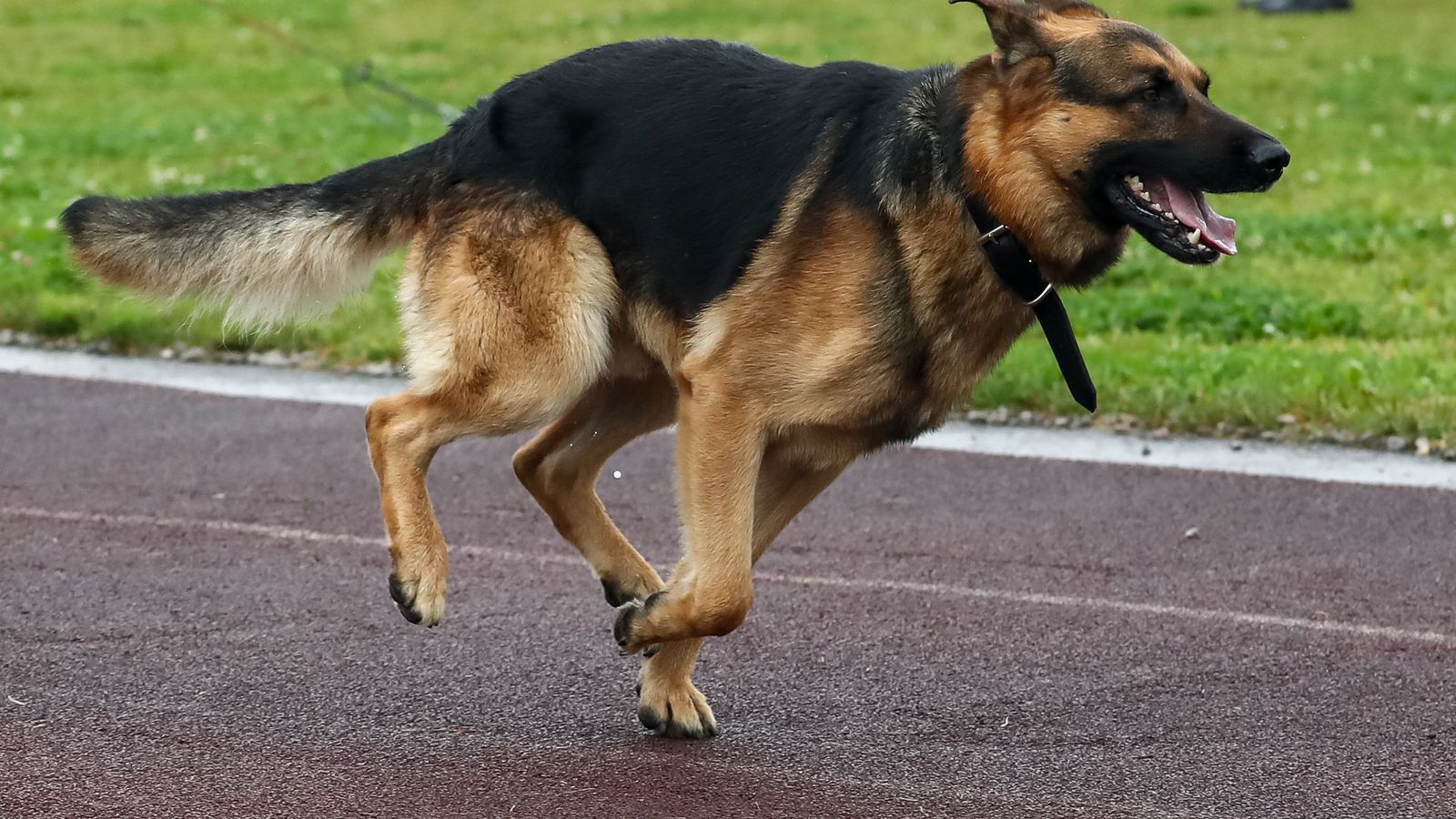 Máttu vísa mæðgunum úr fé­laginu eftir allt saman