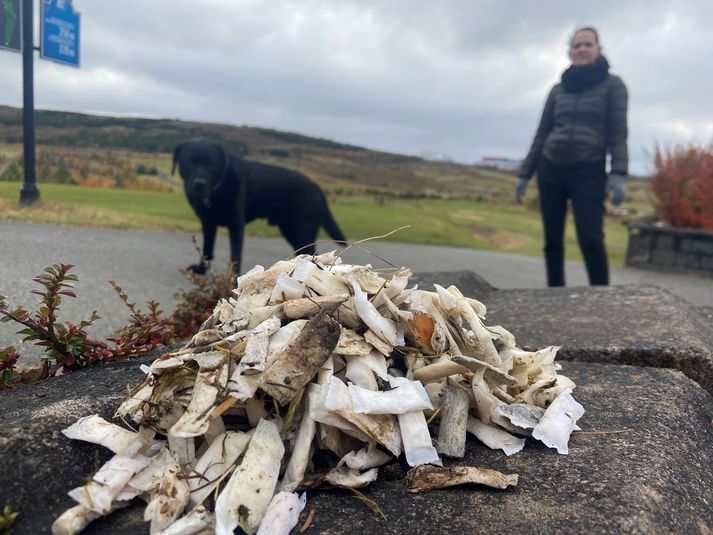 Svo virðist sem kylfingar séu býsna duglegir við að troða nikótínpúðum í andlitið á sér. Sem þeir svo, því miður, hrækja út úr sér á golfvellinum. Þessi hrúga er ekki beinlínis til prýði á Grafarholtsvellinum.