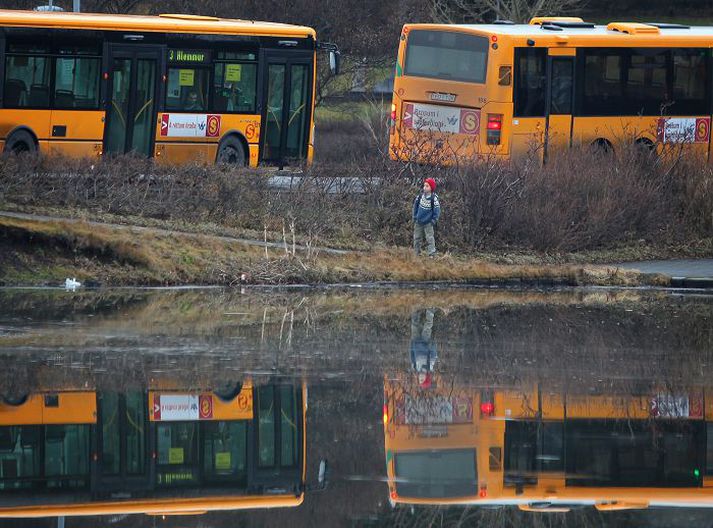 Mikil umferð, fugladrit, brauðgjafir og skolp hafa mengað Tjörnina í Reykjavík sem er í slæmu ástandi.