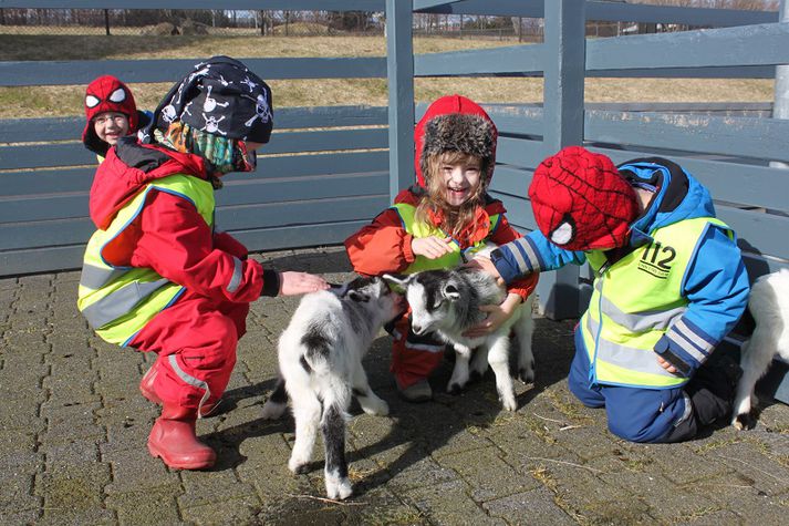 Krakkarnir voru ánægðir að kynnast kiðlingunum.