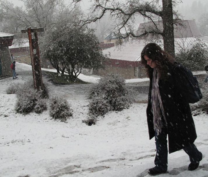 Já, þú skalt gæta bróður þíns.