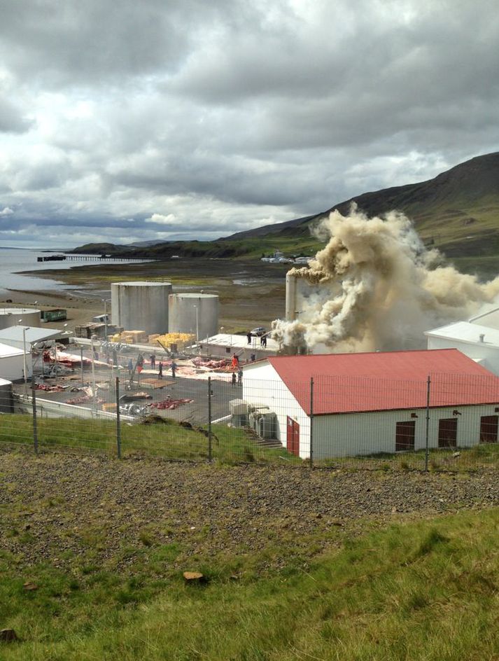 Í Hvalstöðinni eftir hádegi í dag. Mikinn reyk lagði frá stöðinni, eins og sést á þessari mynd.