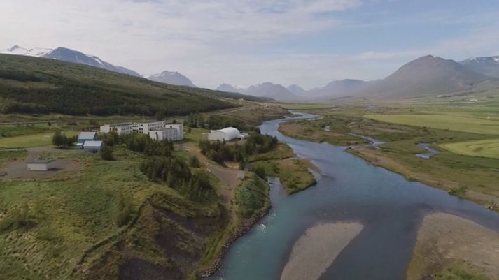 Á Þelamörk eru grunnskóli og íþróttamiðstöð Hörgarsveitar, sem og skrifstofa sveitarfélagsins.