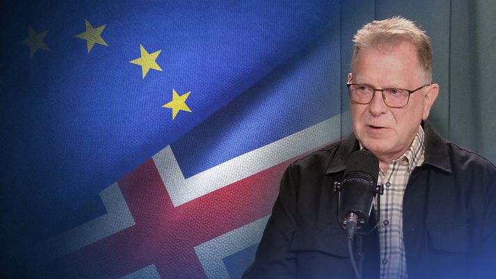 Þorsteinn Gunnarsson varaformaður samninganefndar Íslands í síðustu aðildarviðræðum er gestur dagsins í Vísi að viðræðum.
