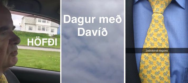 Davíð Oddsson hefur mælst með um 20 prósentustiga stuðning að undanförnu.