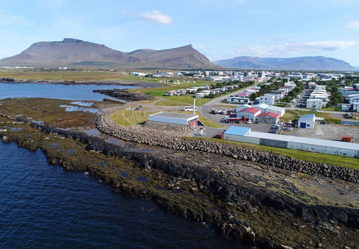 Hreinsistöðin var formlega opnuð í maí í fyrra. Erfiðlega hefur gengið að halda henni gangandi sökum mikillar fitu frá matvælavinnslu.