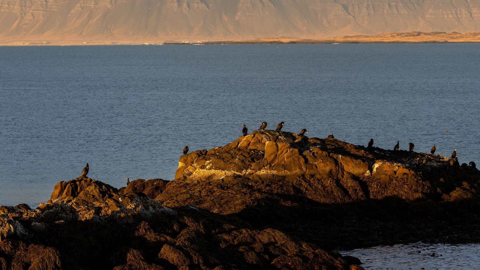 Má búast við skúrum eða éljum