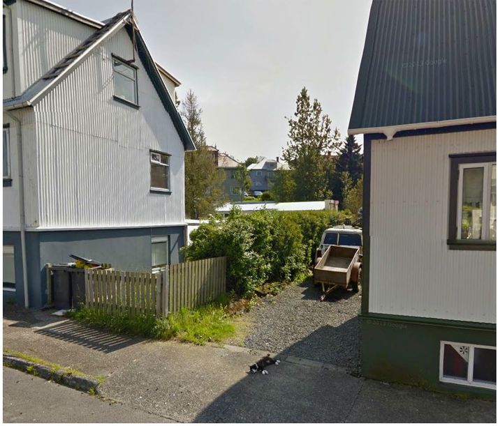 Þessi kisi lætur sér fátt um myndatökur Google finnast.