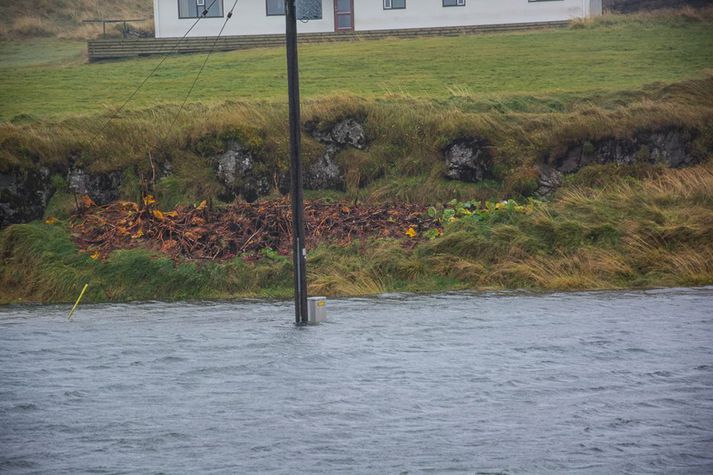 Ingi Ragnarsson, bróðir Eiðs, hefur tekið fjölmargar myndir af hamnum í Hamarsá sem sjá má í myndasyrpu neðst í fréttinni.