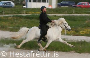 Fréttamynd