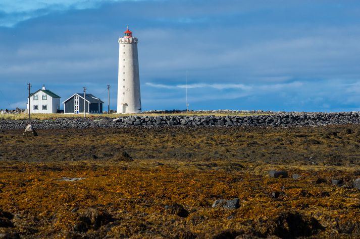 Fólk við Gróttu
