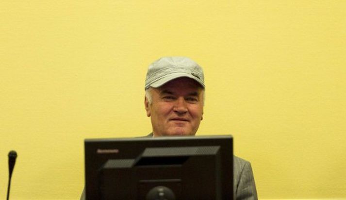 Málið gegn Mladic þykir afar flókið og tímafrekt. Sækjendur vilja hluta málið niður svo að hægt verði að kveða upp dóm sem fyrst.