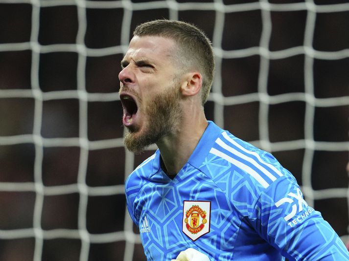 Samningur David De Gea rennur út næsta sumar.