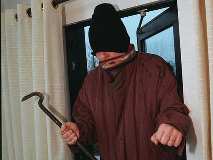 Þjófur að störfum