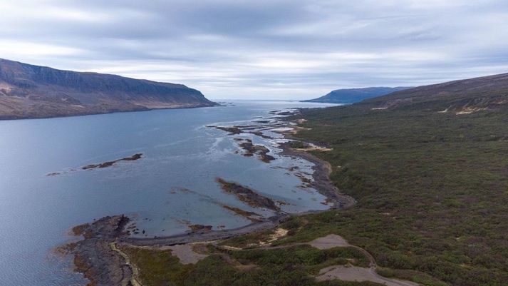 Séð yfir Teigsskóg þar sem vegurinn á að liggja. Þorskafjörður á vinstri hönd.