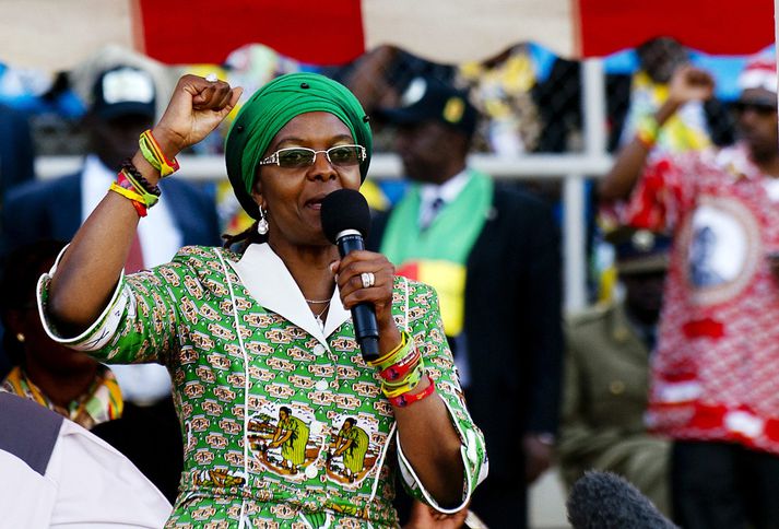 Hin ákærðu eru sögð hafa baulað á Grace Mugabe og sagst hata allt sem hún stæði fyrir.  Þau eru sögð grafa undan valdi forseta.