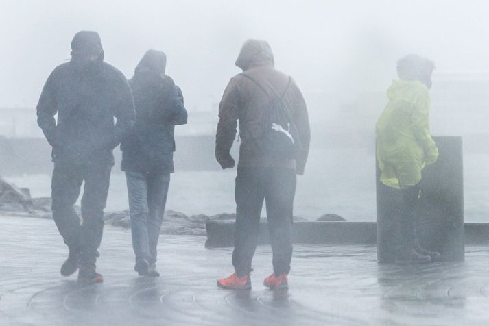 Talsverð rigning á verður á vesturhelmingi landsins í dag, en úrkomulítið fyrir austan.