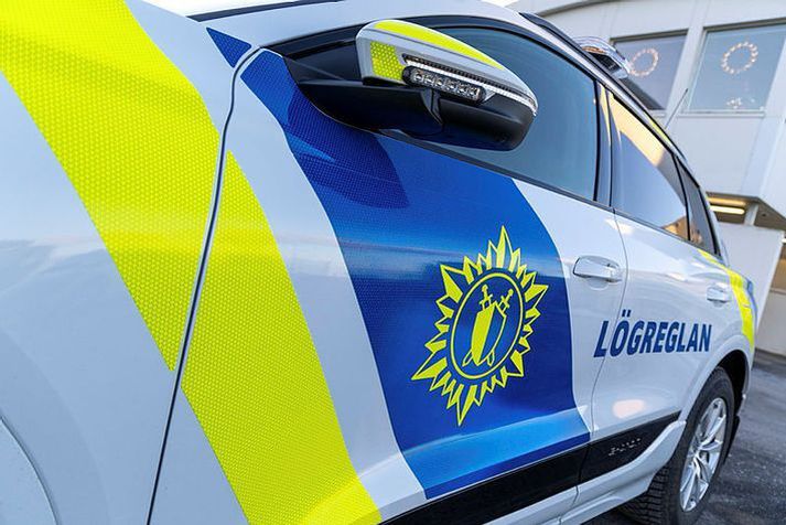 Lögregla á höfuðborgarsvæðinu hafði í nógu að snúast í nótt. 