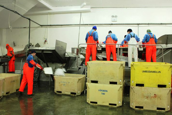 Maðurinn ökklabrotnaði við fall af fiskikarastæðu.