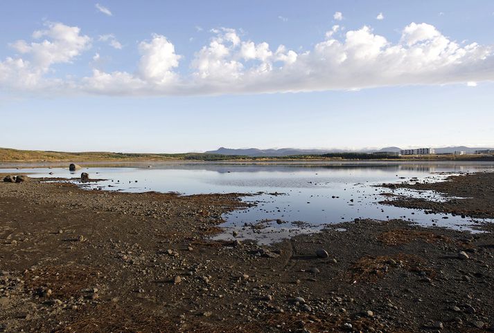Útivistarfólk fann torkennilegan mun á göngu sinni við Hafravatn.