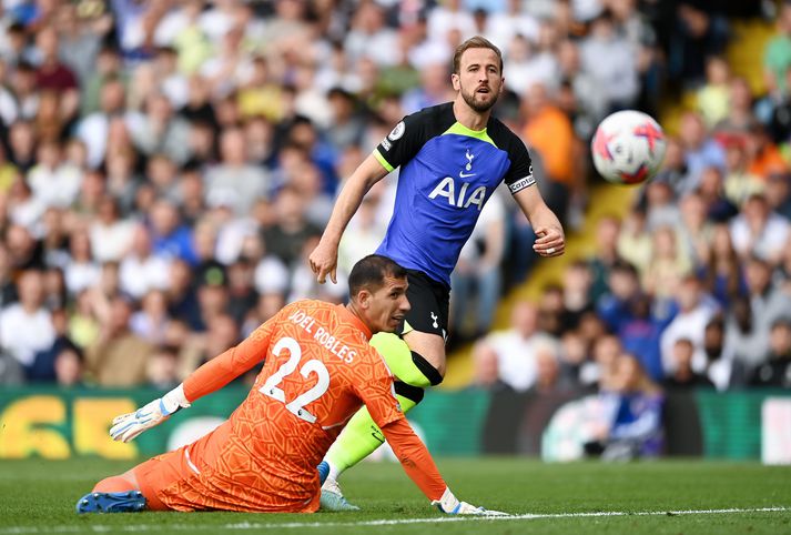 Harry Kane var næstmarkahæstur í ensku úrvalsdeildinni á nýafstöðnu tímabili.