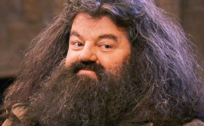 Robbie Coltrane er þekktastur fyrir hlutverk sitt sem Hagrid í kvikmyndunum um Harry Potter.