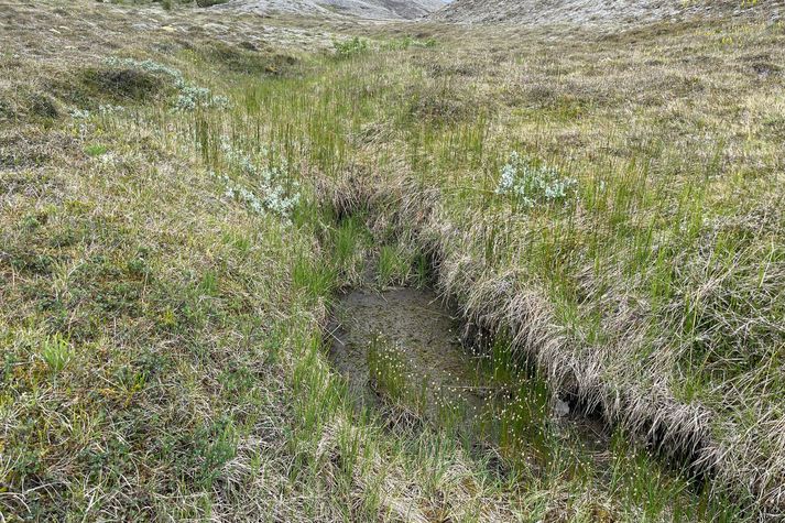 Grunnvatnsstaðan er ekki góð í landi Jóns Árna.