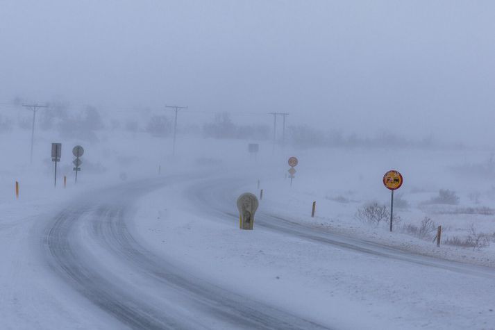 Búast má við hvassviðri og snjókomu um allt land á fimmtudag.