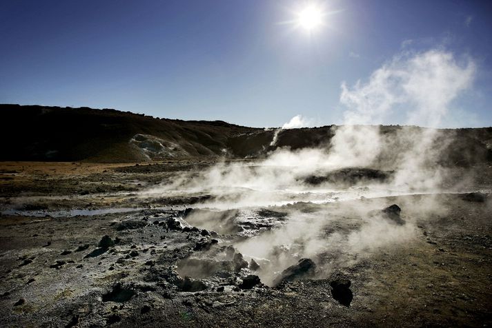 Af Reykjanesinu. 