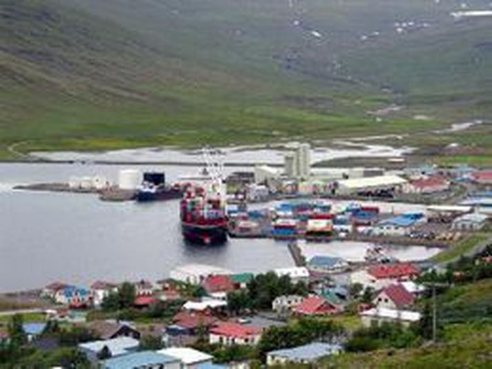 Frá Eskifirði.