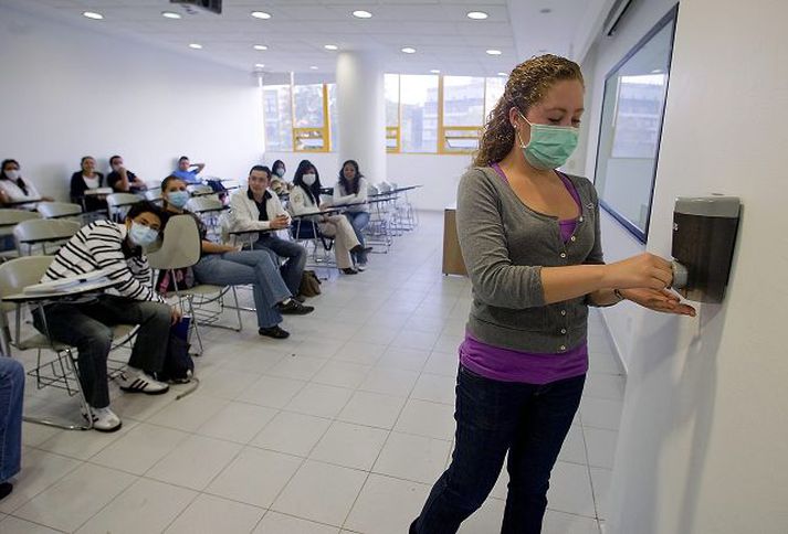 svínaflensan Víða um lönd eru uppi sterkar varnir gegn svínainflúensunni.