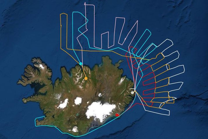 Leitarferlarnir klukkan ellefu í morgun. Búið er að fara yfir Austfjarðamið, vestur með Norðurlandi og norður eftir Kolbeinseyjarhrygg. Hvert skip hefur sinn lit. Ljósblár er Árni Friðriksson, bleikur er Hákon, gulur er Polar Amaroq, rauður er Ásgrímur Halldórsson og hvítur er Bjarni Ólafsson,