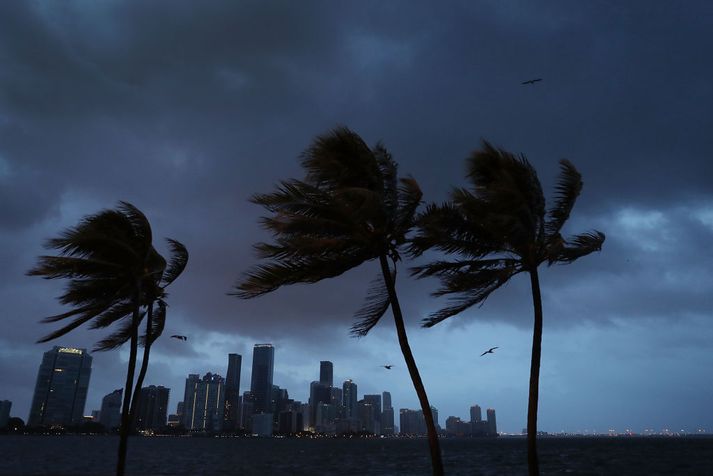 Irma mun færa sig norður eftir vesturströnd Flórída skaga seinna í dag.