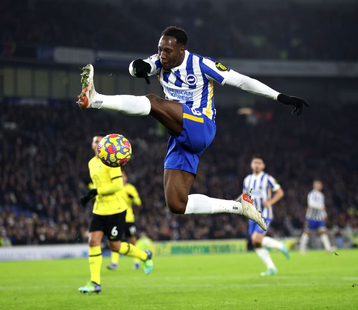 Danny Welbeck skoraði jöfnunarmark Brighton.