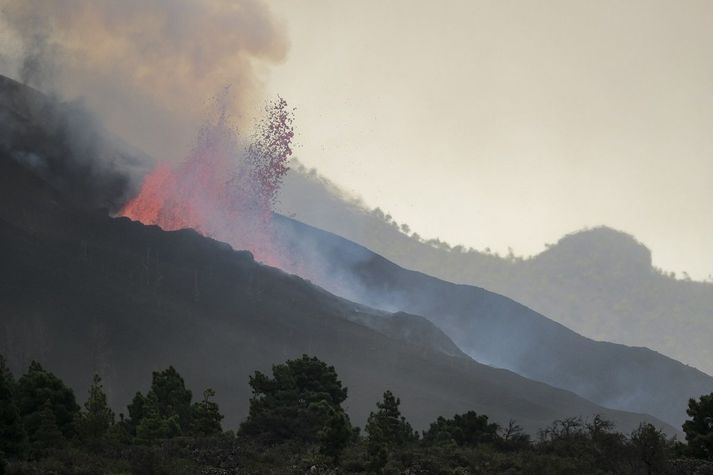 Eldgosið á La Palma hefur verið tiltölulega hvikult síðustu daga.