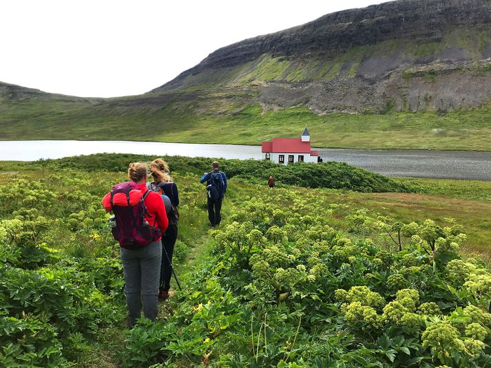 Frá Aðalvík á Hornströndum.