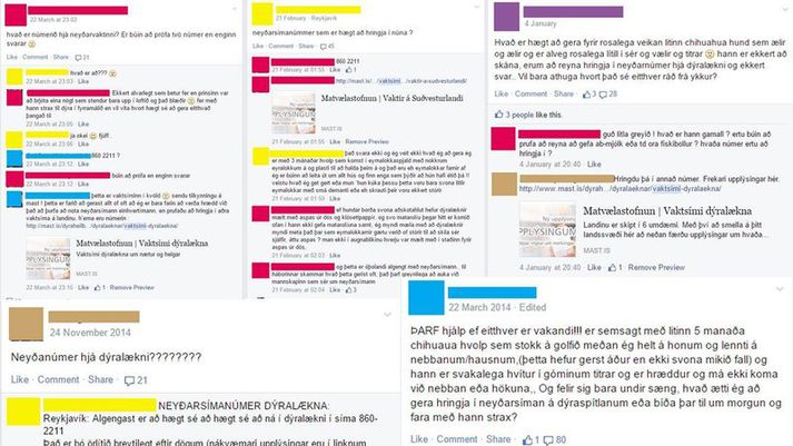 Stofnandi hópsins tók saman nokkrar færslur á Facebook þar sem örvæntingafullir dýraeigendur reyna að ná í dýralækni á bakvakt.