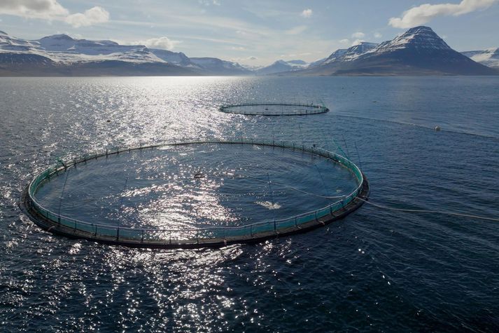 Hlutabréfaverð Kaldvíkur hefur fallið um meira en tuttugu prósent í viðskiptum á markaðinum í Noregi í morgun eftir að tilkynnt var um samkomulagið við lánveitendur.