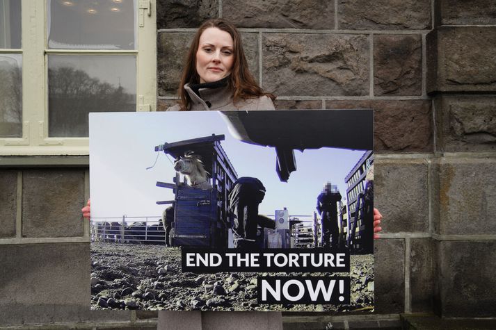 Linda Karen segir að með því að bregðast ekki við illri meðferð á hrossum sé hún gerð refsilaus. 