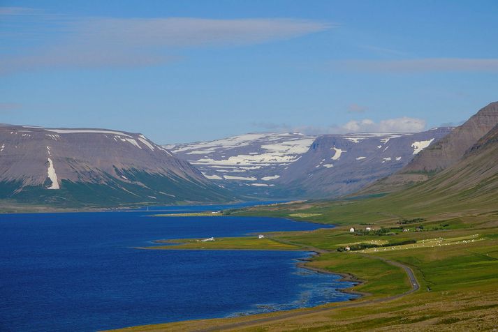 Um er að ræða lax í sjókvíum í Dýrafirði.